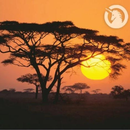 Dudu Osun - Sapone Nero 150g Naturale Esfoliante Idratante Antiossidante per Pelle Fresca e Sana con Olio d'Olive Nere.